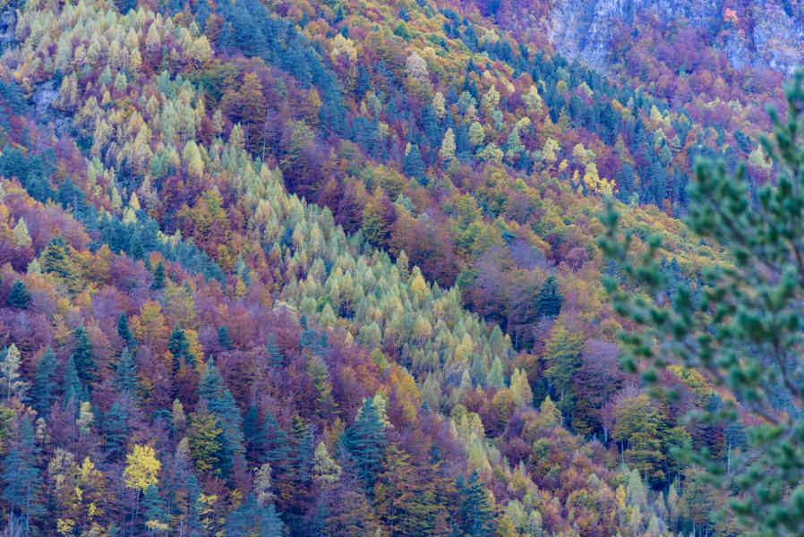 Huesca - parque nacional de Ordesa y Monte Perdido - valle de Pineta 28.jpg